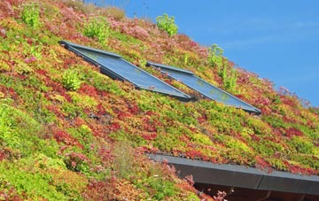 Thirn living roof systems