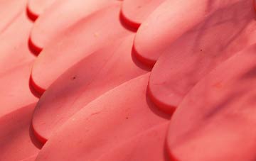 Thirn plastic roof costs